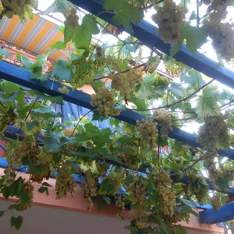 B&B La Mimosa Del Golfo Ospedaletti Zewnętrze zdjęcie